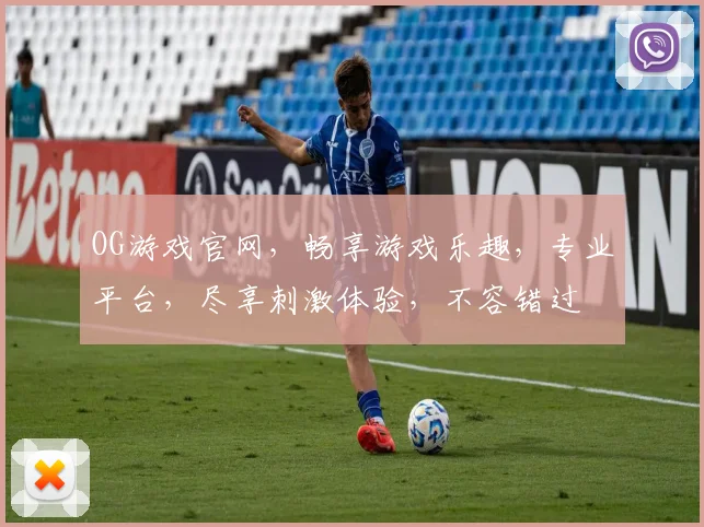 OG游戏官网，畅享游戏乐趣，专业平台，尽享刺激体验，不容错过