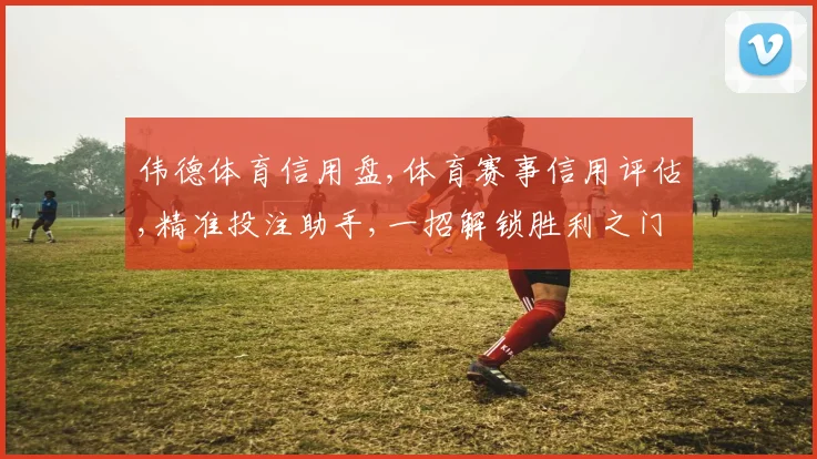 伟德体育信用盘,体育赛事信用评估,精准投注助手,一招解锁胜利之门。